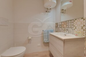 Shower, hair dryer