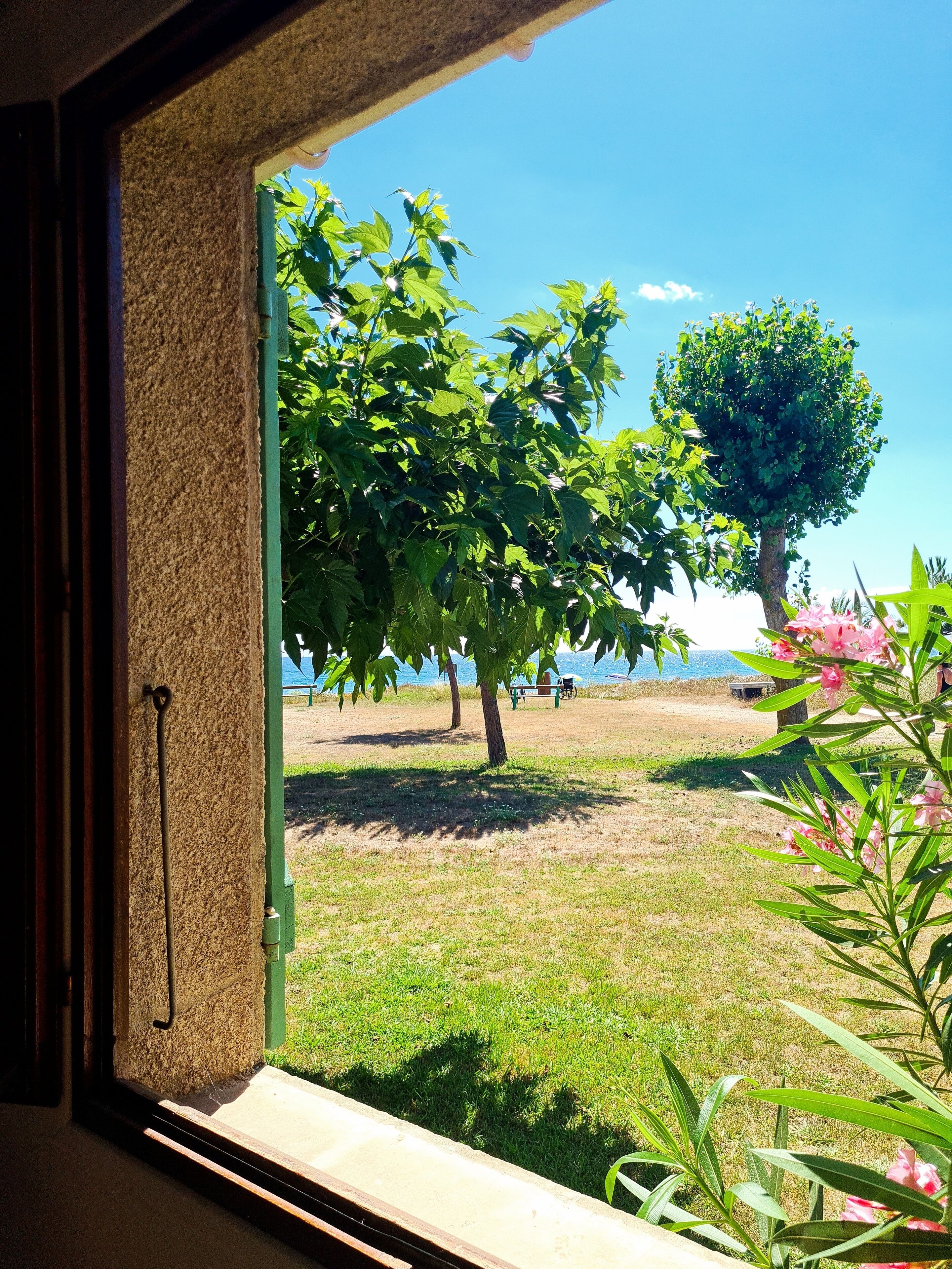A window view of a grassy area with trees and a bench, indicating an outdoor space.