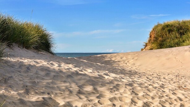Une plage de sable avec des dunes et une végétation clairsemée.