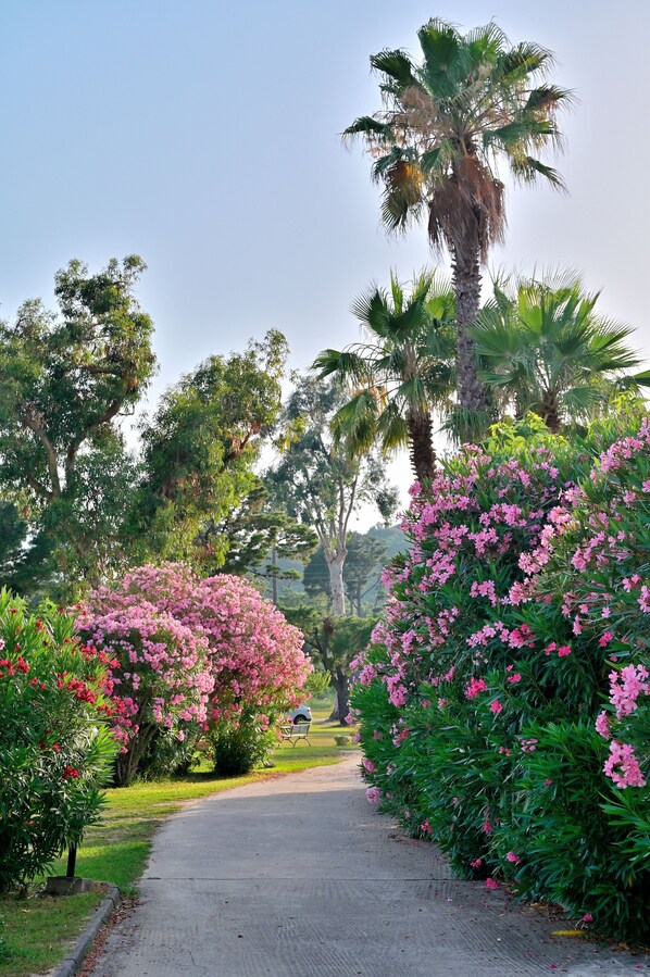 Overnattingsstedets uteområder