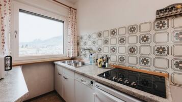 KĂŒhlschrank, Mikrowelle, Herdplatte, GeschirrspĂŒler