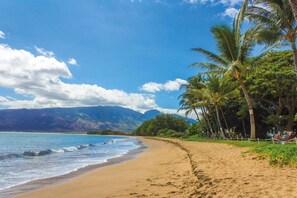 A beach with a clear sky, palm trees, and mountains in the background.