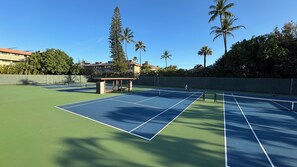 Sport court