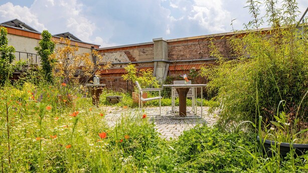 A garden with a table and chairs, surrounded by various plants and flowers.
