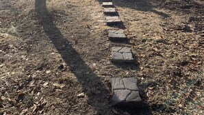 Ein Steinweg führt zu einer Holzhütte mit einem Metall-Dach, umgeben von Bäumen und einem klaren Himmel.