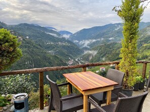 TV, fireplace, printers