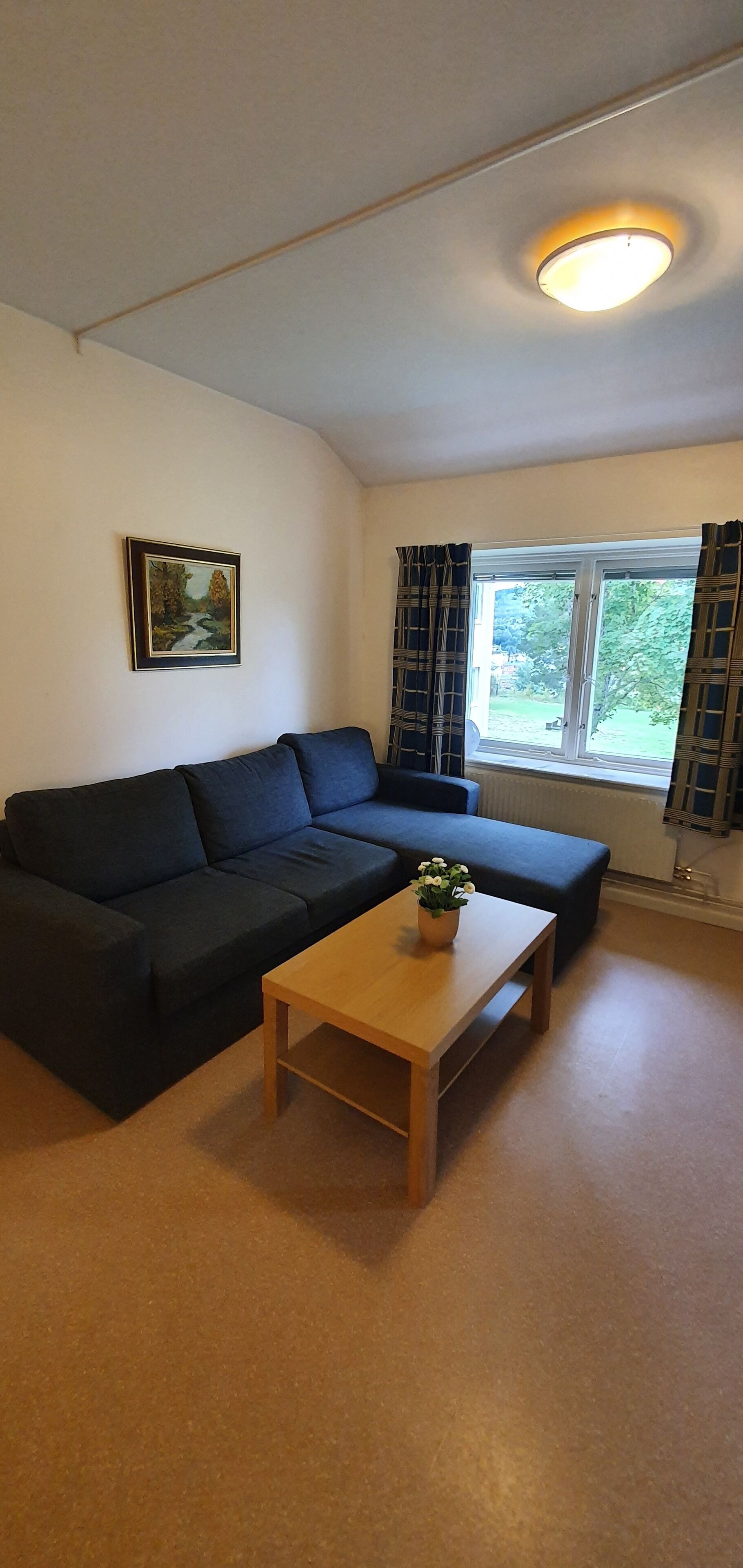 Een woonkamer met een donkergrijze bank, een houten salontafel met een plant, een lijst met een foto aan de muur en een raam met gordijnen.