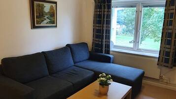 Een woonkamer met een donkergrijze bank, een houten salontafel met een plant, een lijst met een foto aan de muur en een raam met gordijnen.