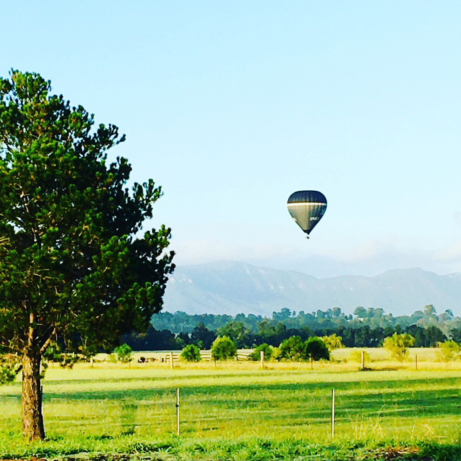A hot air balloon in a rural landscape with a tree and fields.
