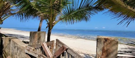 Nära stranden