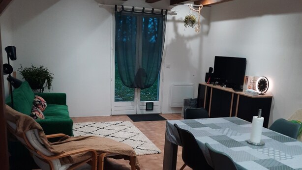 Un salon chaleureux avec un canapé vert, un banc en bois, une table à manger avec des chaises, un téléviseur et une petite plante.