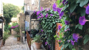 A narrow stone pathway flanked by lush greenery and purple flowers, leading to a rustic stone building with a wooden pergola.