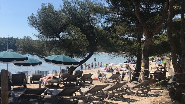 A beach with lounge chairs and umbrellas, a sandy shore, and a calm body of water in the background.