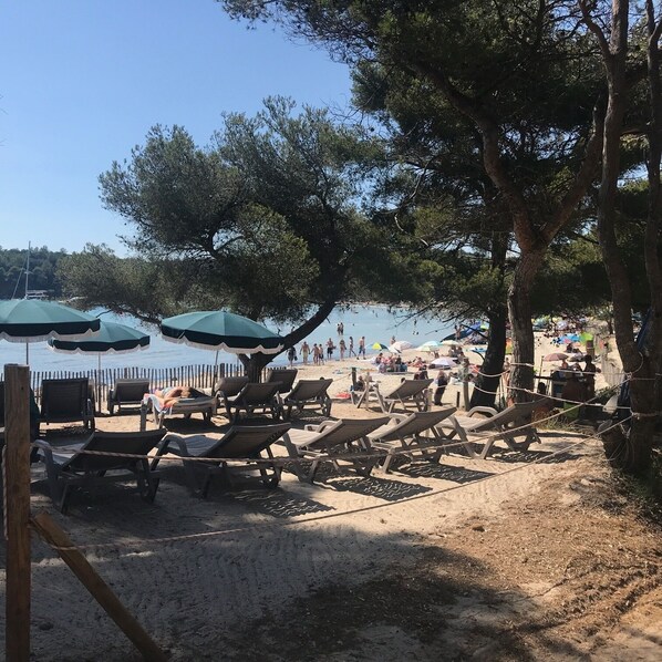 A beach with lounge chairs and umbrellas, a sandy shore, and a calm body of water in the background.