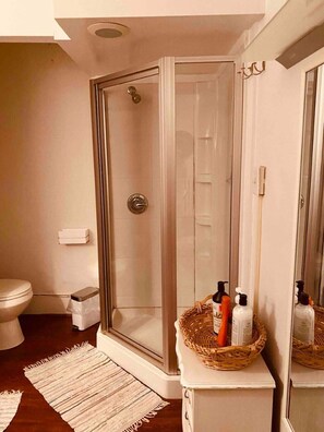 Shower, hair dryer, towels, soap