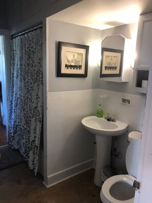 A bathroom with a white sink, a toilet, and a shower curtain. There are framed pictures on the wall and a green bottle on the sink.