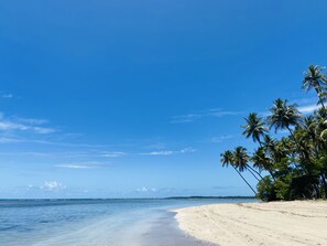 A beach with clear blue water, sandy shore, and palm trees. - Casa Aiti (Cairu)