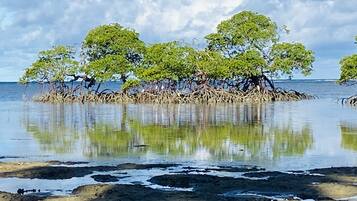 Plage à proximité, sable blanc, cabines (en supplément), chaises longues