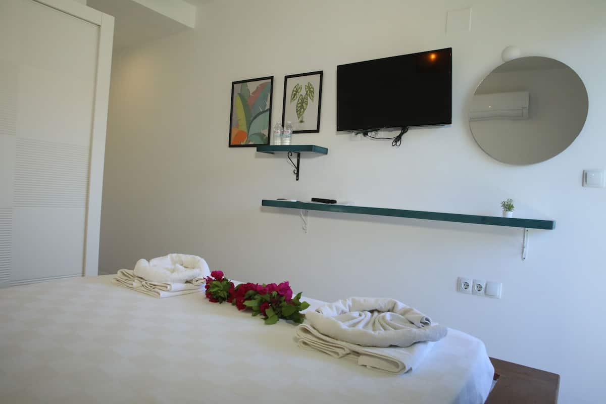 double room, non smoking, garden view | 1 bedroom, free minibar items, desk, laptop workspace