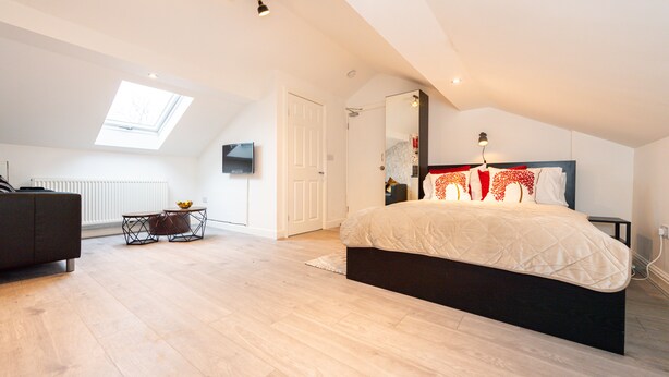 A modern bedroom with a skylight, a large bed, a TV, and a black nightstand.
