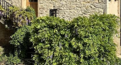 Domaine Albert - POMMIERS