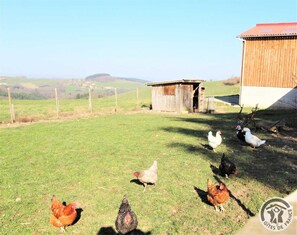Enceinte de lâhĂ©bergement