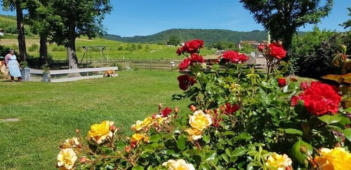 La Distillerie - LE Perreon