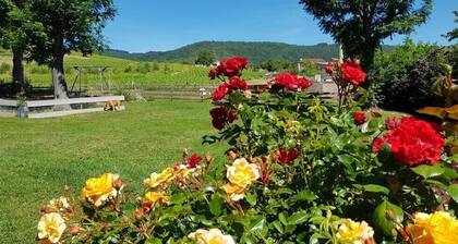 La Distillerie - LE Perreon