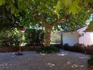 A paved courtyard with a basketball hoop, a tree, and a building with a sloped roof.