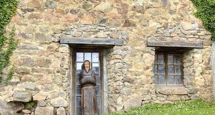 Le Sadot - SAINT-APPOLINAIRE