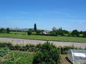 Le 'Gîte des Marcellins' à Villié-Morgon (Rhône - Beaujolais) : Vue depuis le gîte.