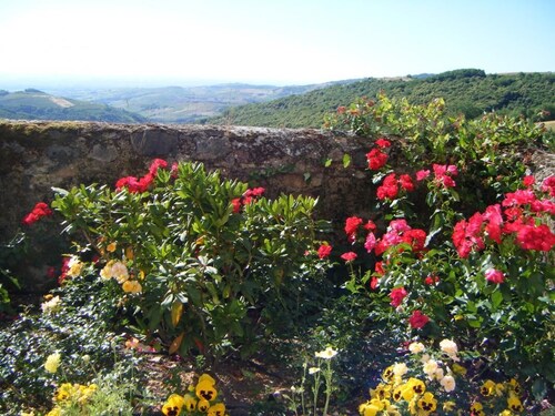 Domaine des Sentiers du Rosier