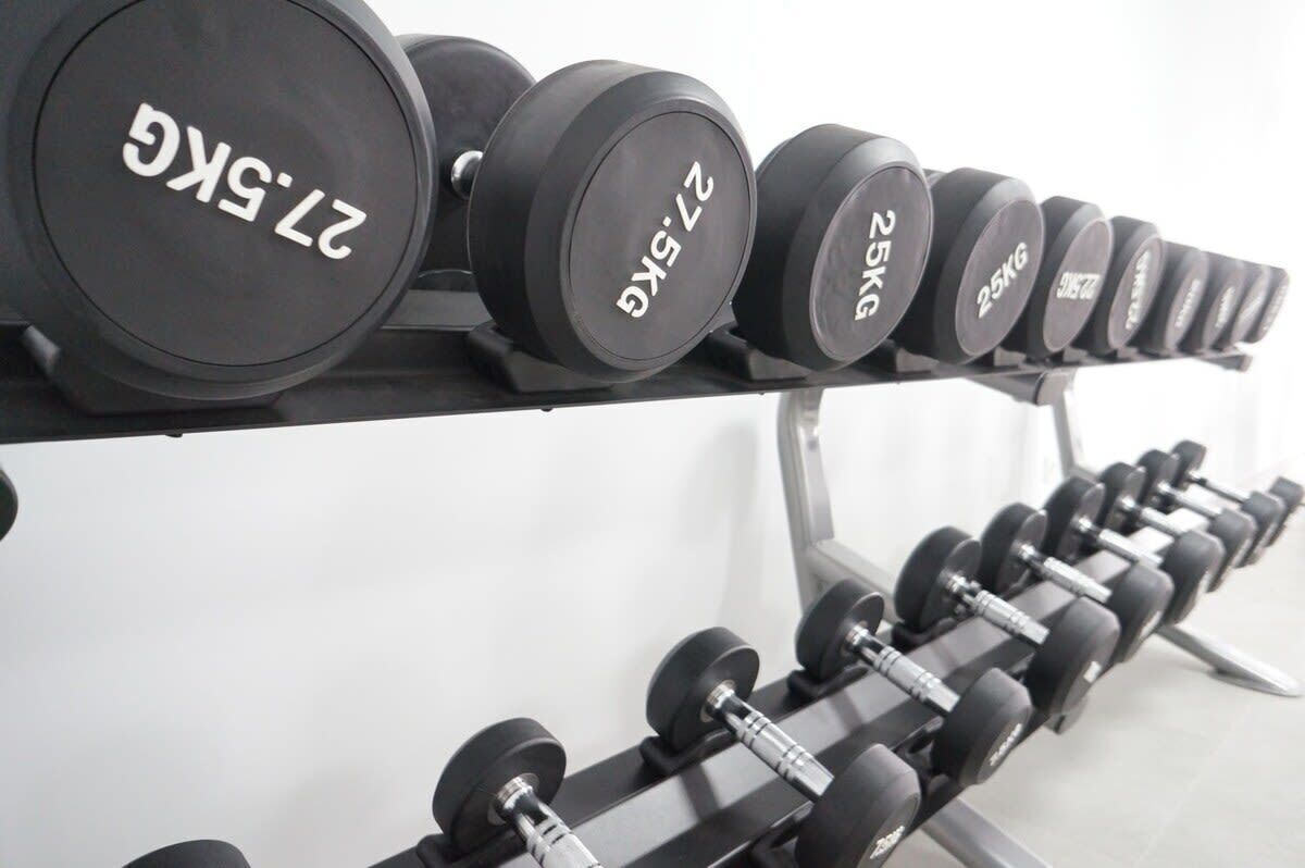 A row of dumbbells on a rack with weight markings.