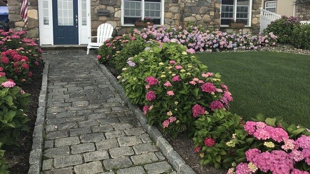 A stone house with a blue door, white windows, and a stone chimney. There is a paved path leading to the door, and a white chair is placed outside. - Brigantine Cottage - Experience both an Ocean AND Bay Family Vacation  this year (Brigantine)