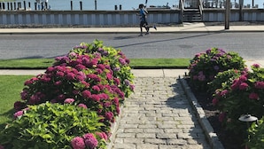 A paved walkway with flower beds, a dock, and a body of water in the background. - Brigantine Cottage - Experience both an Ocean AND Bay Family Vacation  this year (Brigantine)