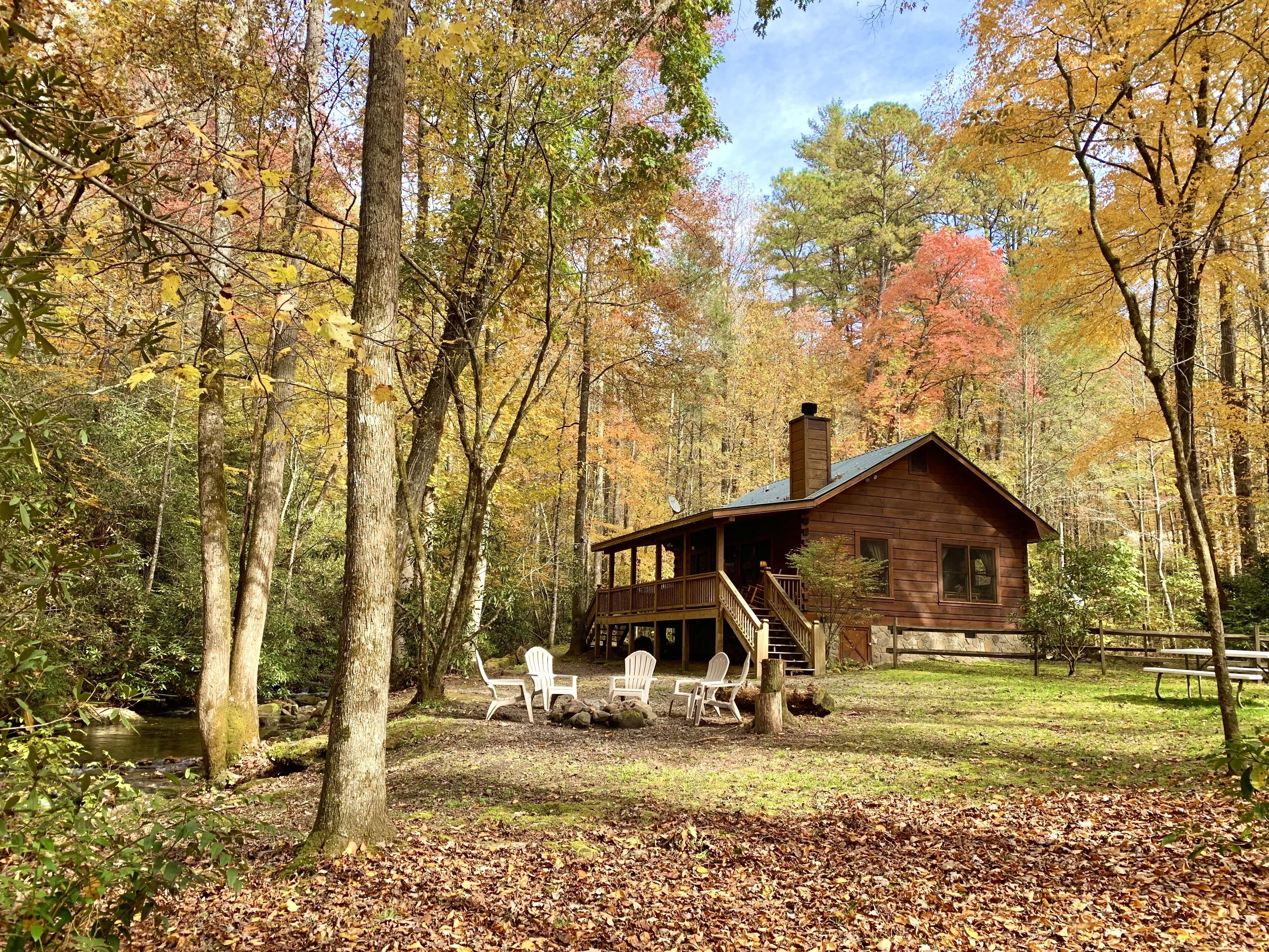 NO PET FEE Secluded Cabin on Stocked Trout Stream