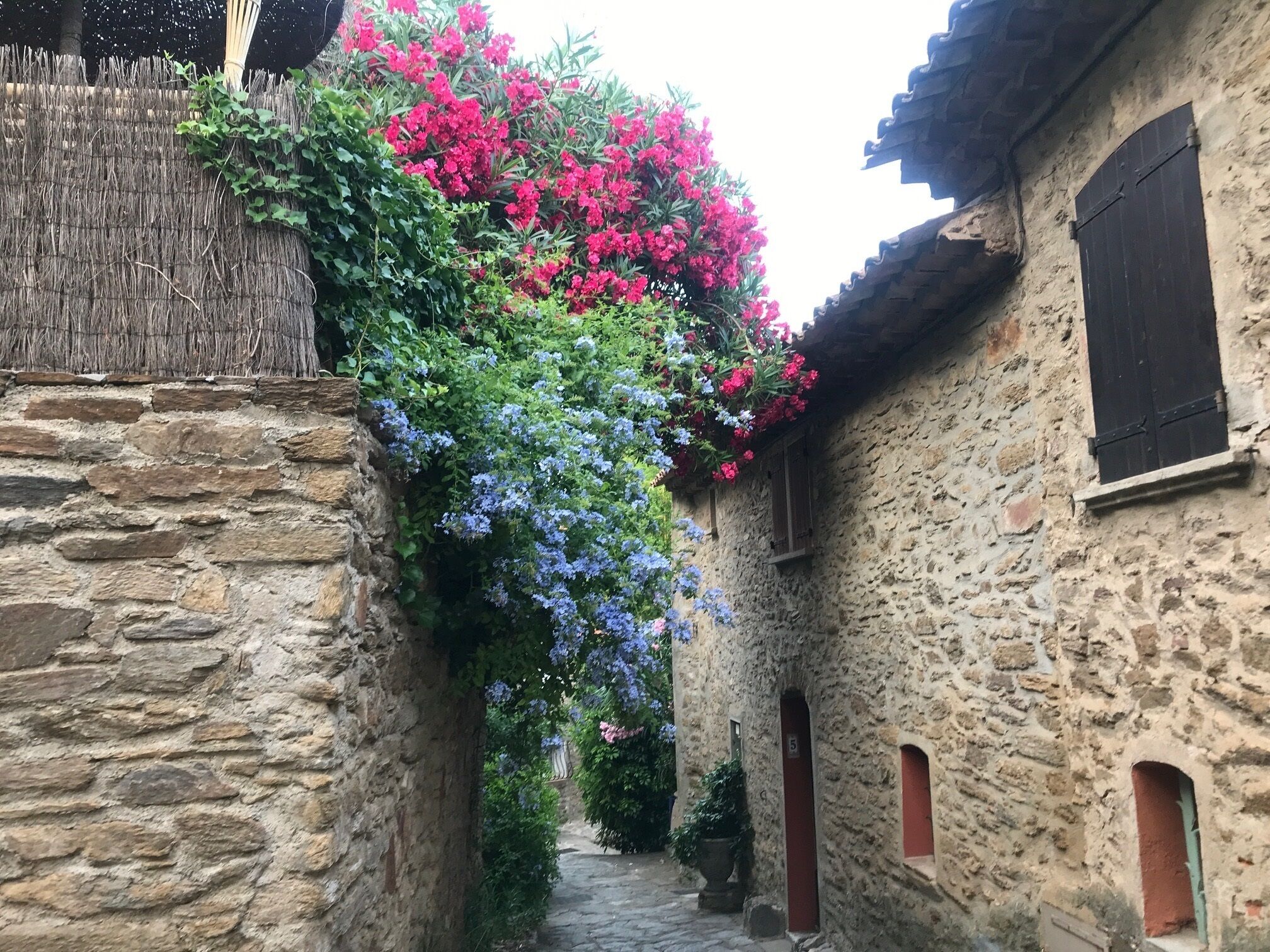 Un étroit sentier de pierre, bordé de bâtiments rustiques en pierre, dotés de volets en bois et d’un mur recouvert de vigne.