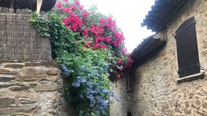 A narrow stone pathway flanked by rustic stone buildings with wooden shutters and a vine-covered wall.