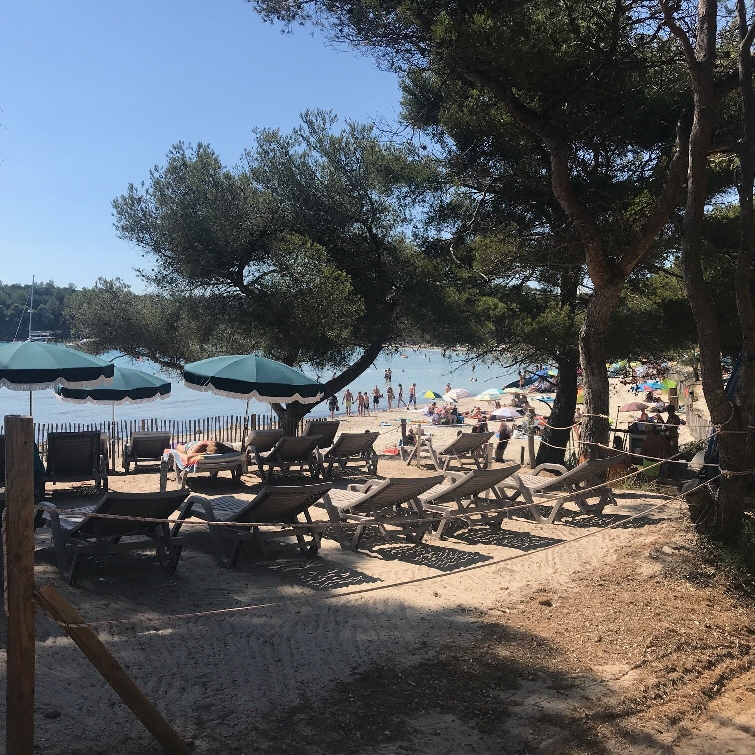 Une plage avec des chaises longues et des parasols, un rivage sablonneux et, au loin, une étendue d’eau calme.
