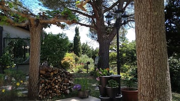 Terrein van de accommodatie