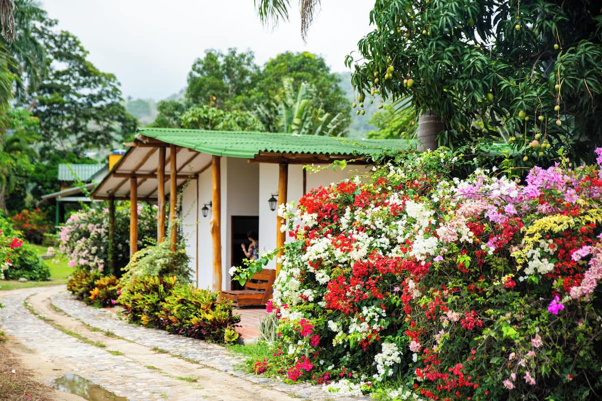 A rustic building with a green roof, surrounded by lush gardens and flowering plants.