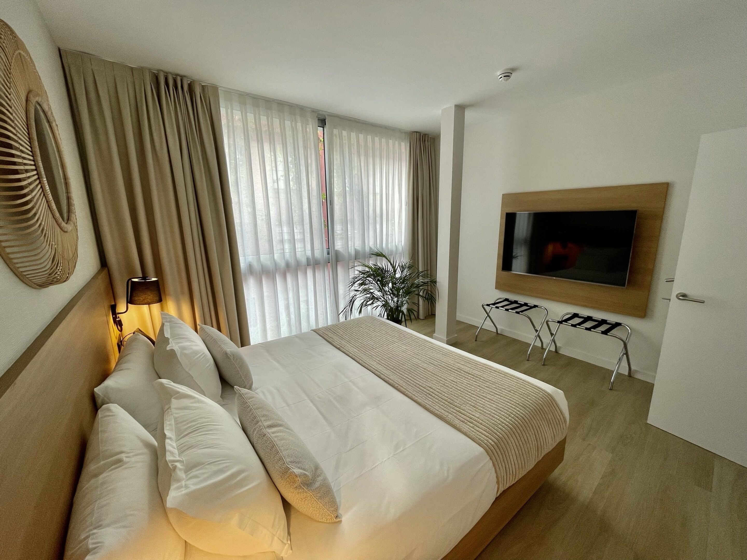 A modern hotel room with a large bed, a TV mounted on the wall, a small table, and a potted plant.
