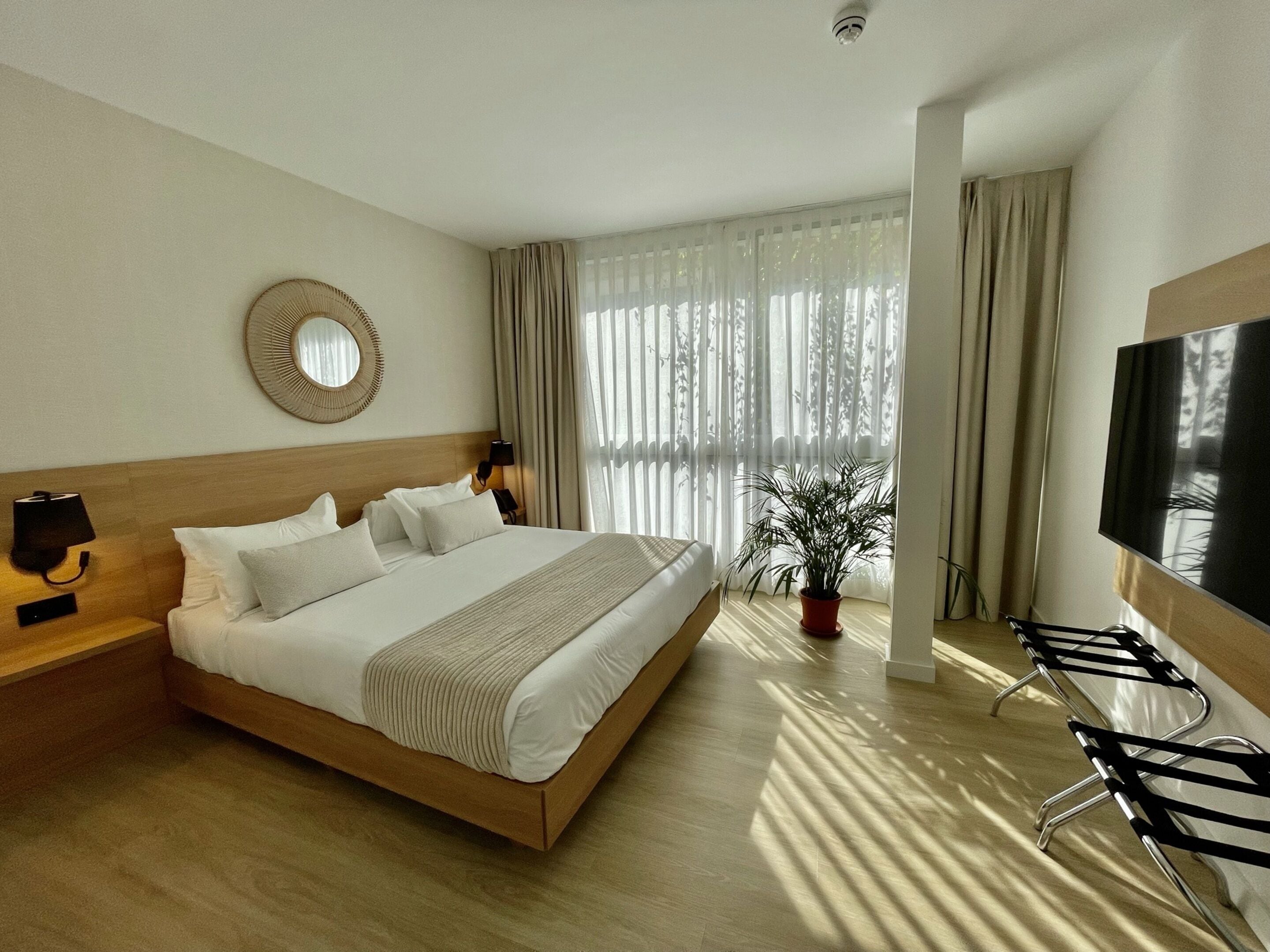 A hotel room with a large bed, a TV, a potted plant, and a seating area with chairs.
