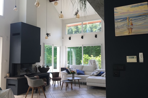 pièce à vivre avec grand volume et lumière