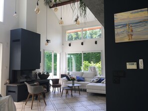Smart-TV, Kamin