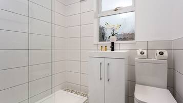 Shower, hair dryer, towels