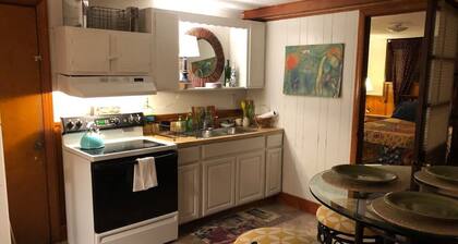 Yellow Submarine trendy basement apt and courtyard