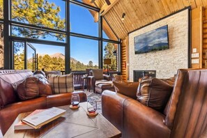 TV, fireplace, books