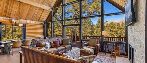 TV, fireplace, books