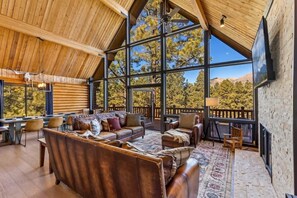 TV, fireplace, books